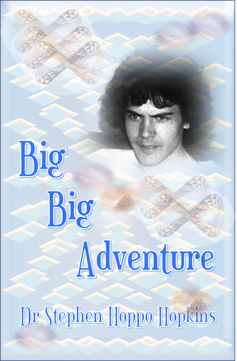 Cover to Big Big Adventure